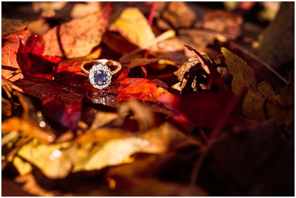 Engagement ring with blue sapphire in soft evening light by Cotswolds Wedding Photographer Annabel Farley Photography